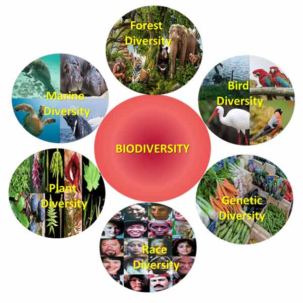 22nd May  International Day of Bio Diversity